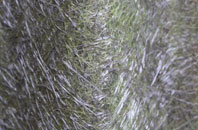 West Chisenbury fibreglass roof work